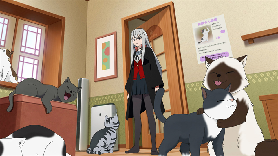 TVアニメ「カワイスギクライシス」公式サイト ＃01 アリエナイ